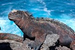 Die schönsten Urlaubsfotos unserer Userinnen und User die-schoensten-urlaubsfotos-unserer-userinnen-und-user