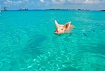 sehnsucht-strandurlaub:-man-wird-doch-noch-traeumen-duerfen sehnsucht-strandurlaub:-man-wird-doch-noch-traeumen-duerfen