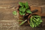 mit-welchen-wildkraeutern-kochen-sie-gern? mit-welchen-wildkraeutern-kochen-sie-gern?