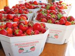 ihre-besten-rezepte-mit-erdbeeren? ihre-besten-rezepte-mit-erdbeeren?