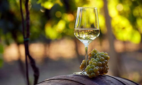 warum-millionen-liter-wein-zu-desinfektionsmittel-destilliert-werden warum-millionen-liter-wein-zu-desinfektionsmittel-destilliert-werden