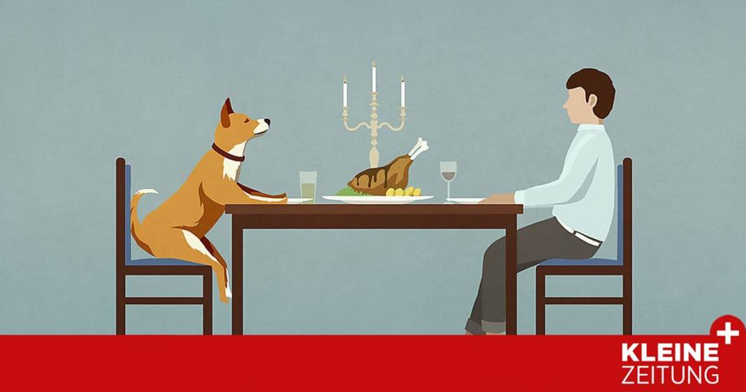 unterschiedliche-arbeitszeiten:-wie-eine-beziehung-gelingt