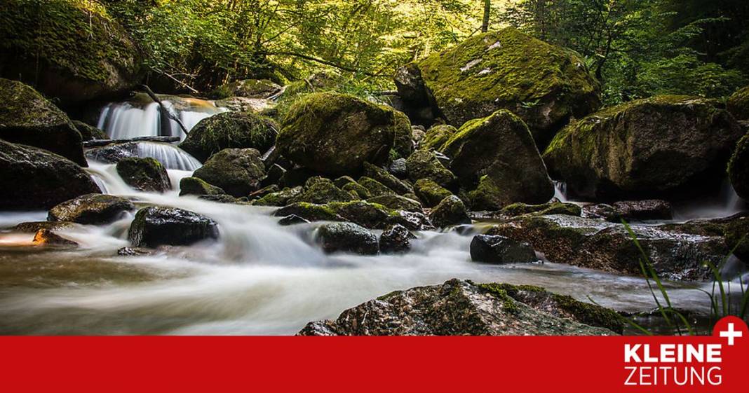stille,-wald-und-wasser-sind-die-wundermittel-des-pesenbachtals