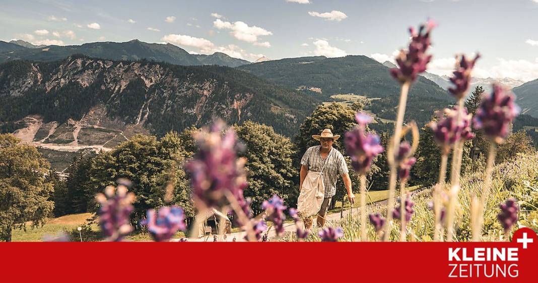 wo-ein-hauch-von-provence-durch-die-berge-weht