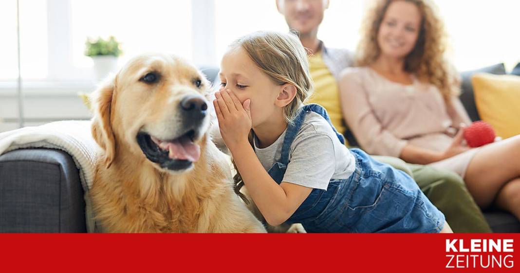 experten:-kinder-verstehen-koerpersprache-signale-der-hunde-oft-nicht