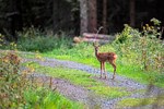 feierabendrunde-mit-folgen:-jaeger-vs.-biker-vor-gericht feierabendrunde-mit-folgen:-jaeger-vs.-biker-vor-gericht