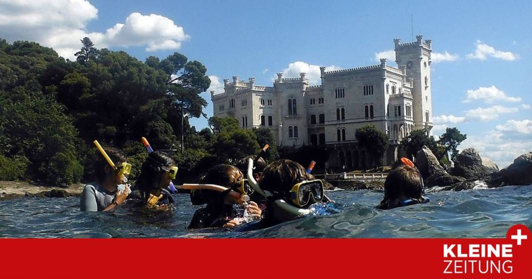 abtauchen-unter-dem-schloss-miramare abtauchen-unter-dem-schloss-miramare