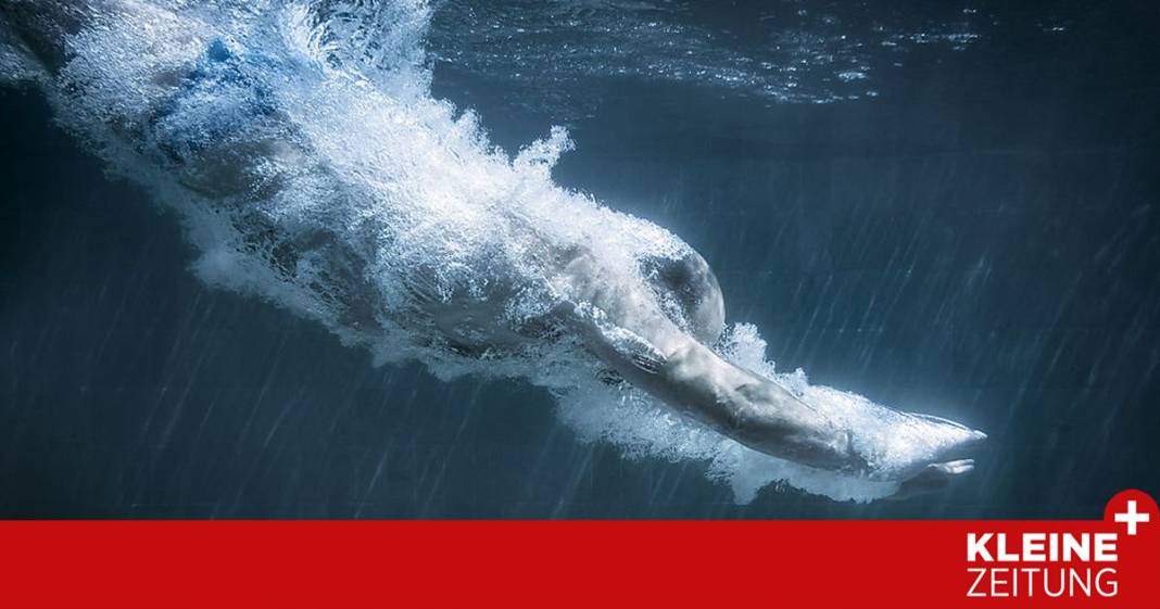 so-wirkt-schwimmen-als-therapie