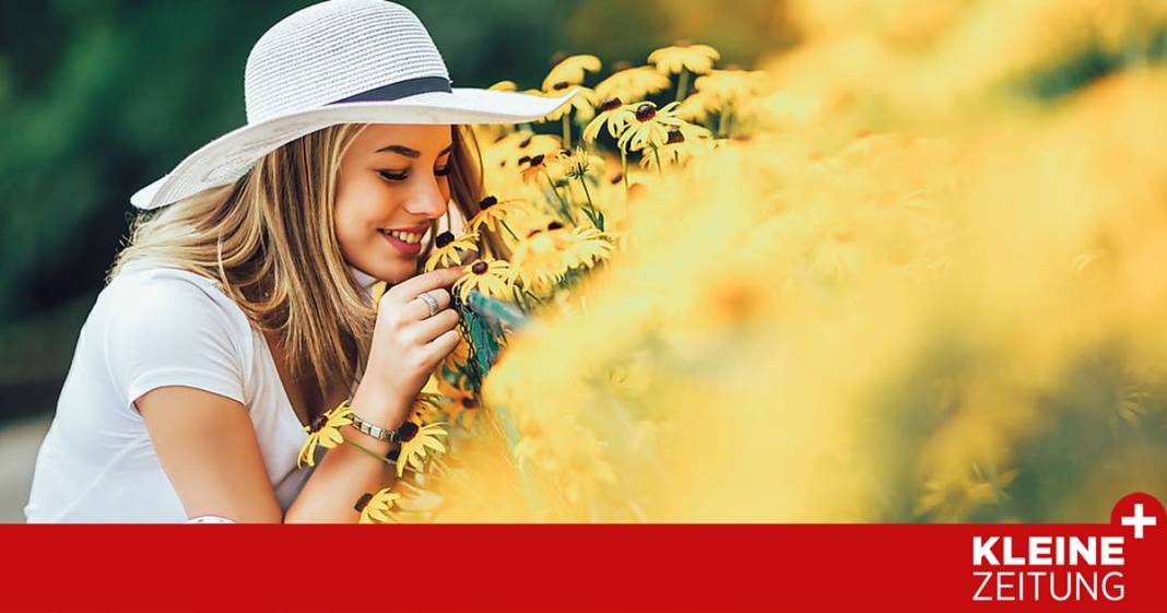 sonnenblumen-&-co.:-so-lockt-man-die-sonne-in-den-garten sonnenblumen-&-co.:-so-lockt-man-die-sonne-in-den-garten