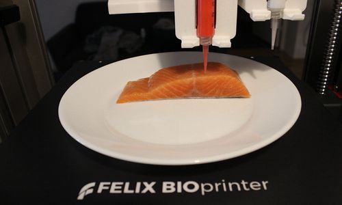 in-wien-kommt-lachs-aus-dem-3d-drucker in-wien-kommt-lachs-aus-dem-3d-drucker