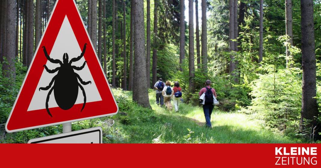 was-der-klimawandel-mit-„zecken-superjahren“-zu-tun-hat was-der-klimawandel-mit-„zecken-superjahren“-zu-tun-hat