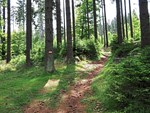 niederoesterreich:-huettenwanderung-auf-den-nebelstein niederoesterreich:-huettenwanderung-auf-den-nebelstein
