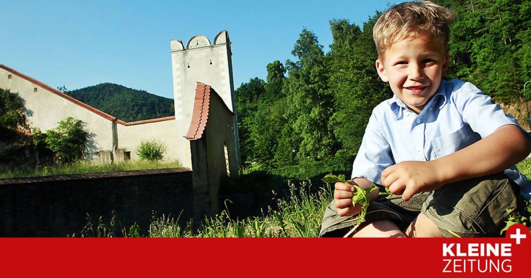 wo-man-die-,,hetscherl“-haetschelt