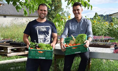 zwei-jungunternehmer-liefern-biologisches-vor-die-haustuer zwei-jungunternehmer-liefern-biologisches-vor-die-haustuer