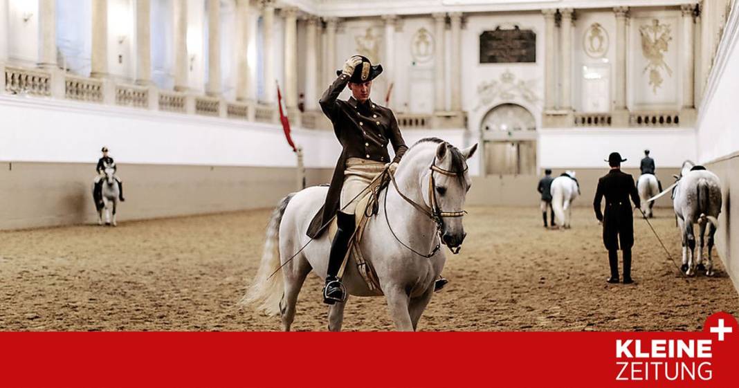 wo-man-in-wien-hoch-ueber-den-roessern-steht
