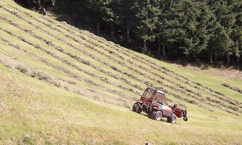 bergbauern,-obst-und-forstwirte-zaehlten-2019-zu-den-einkommens-verlierern bergbauern,-obst-und-forstwirte-zaehlten-2019-zu-den-einkommens-verlierern
