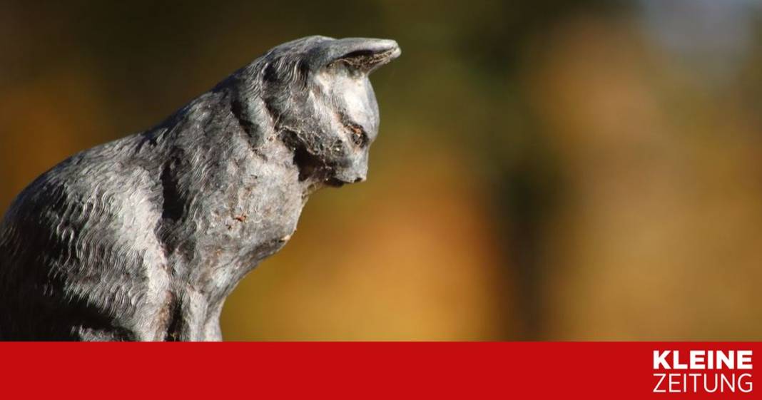 wann-man-sein-haustier-gehen-lassen-sollte
