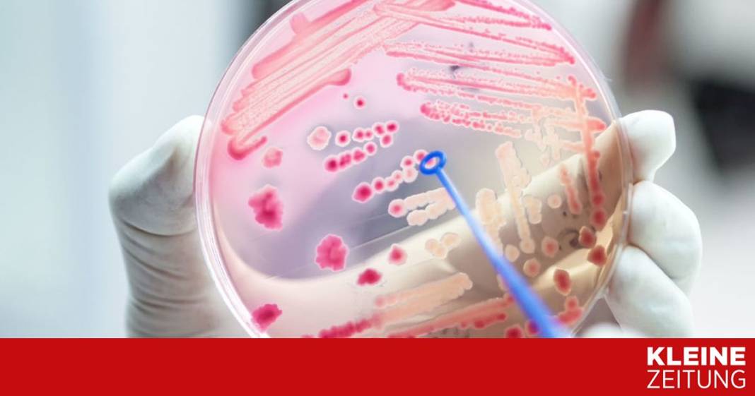 blutvergiftung:-das-sollten-sie-wissen blutvergiftung:-das-sollten-sie-wissen