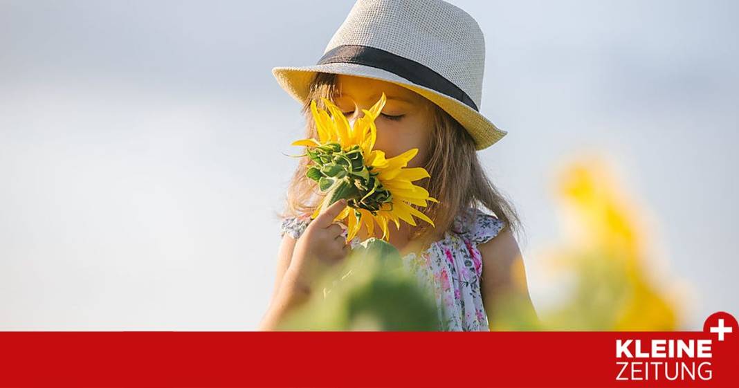 hier-ist-der-herbstfahrplan-fuer-den-garten hier-ist-der-herbstfahrplan-fuer-den-garten