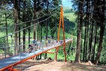 ueber-den-kronen:-die-schoensten-baumwipfelpfade-oesterreichs ueber-den-kronen:-die-schoensten-baumwipfelpfade-oesterreichs
