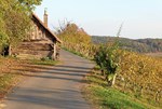suedoststeiermark:-herbstliches-weinwandern-im-vulkanland suedoststeiermark:-herbstliches-weinwandern-im-vulkanland