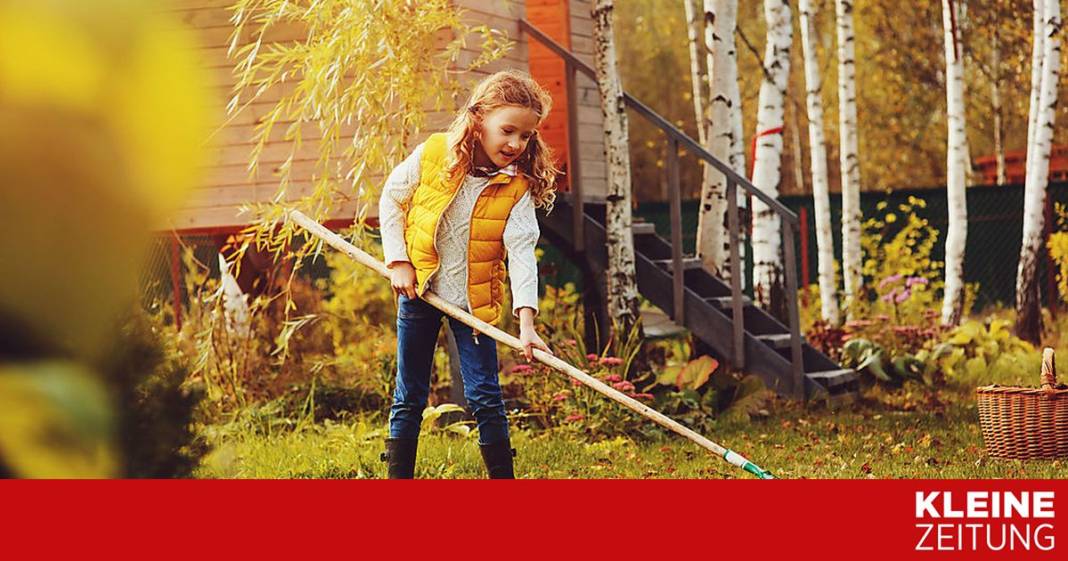 das-ist-deine-checkliste-fuer-den-herbst das-ist-deine-checkliste-fuer-den-herbst