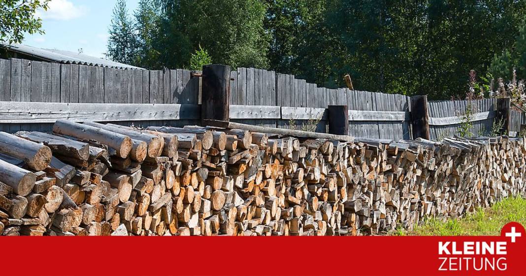 holzlager-direkt-am-zaun:-darf-das-sein? holzlager-direkt-am-zaun:-darf-das-sein?