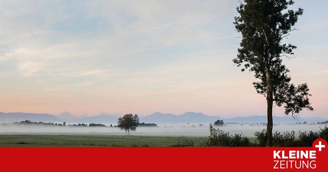 wo-irrlichter-und-moorgeister-ihr-unwesen-treiben