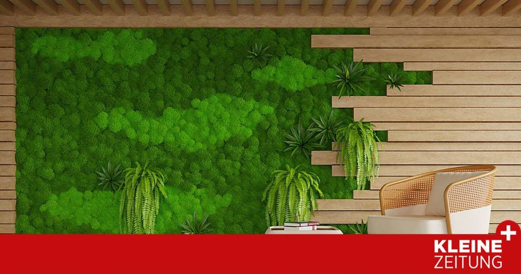 so-zieht-der-garten-in-die-wohnung-ein so-zieht-der-garten-in-die-wohnung-ein
