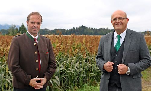 warum-bauern-wieder-kartoffeln-ernten warum-bauern-wieder-kartoffeln-ernten
