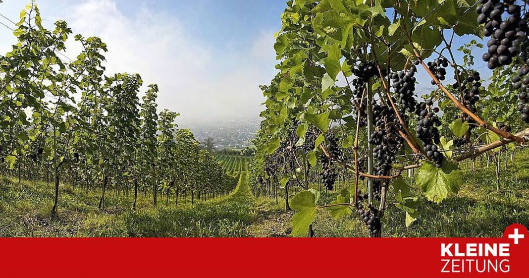 expedition-auf-den-spuren-des-guten-geschmacks