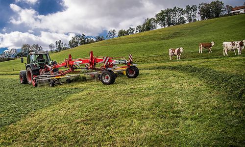 eu-staaten-einigten-sich-auf-agrarreform-–-mit-gruenem-anstrich eu-staaten-einigten-sich-auf-agrarreform-–-mit-gruenem-anstrich