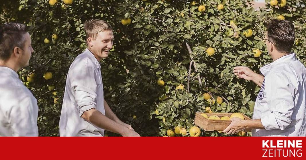 die-gastronomie-im-wandel-fuer-den-planeten-und-fuer-dich die-gastronomie-im-wandel-fuer-den-planeten-und-fuer-dich