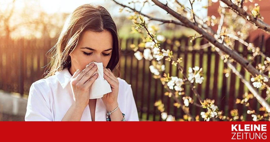 experte-im-live-chat:-was-wirkt-gegen-die-chronische-entzuendung-in-der-nase? experte-im-live-chat:-was-wirkt-gegen-die-chronische-entzuendung-in-der-nase?