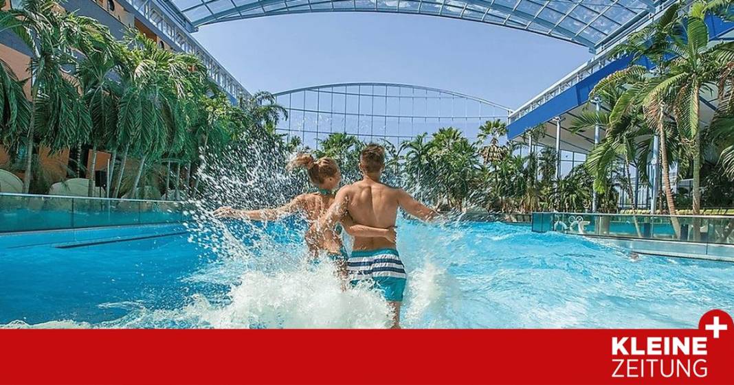 wo-man-im-winter-unter-palmen-planscht wo-man-im-winter-unter-palmen-planscht