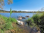 oberoesterreich:-eine-runde-durch-den-kobernausserwald-im-innviertel oberoesterreich:-eine-runde-durch-den-kobernausserwald-im-innviertel