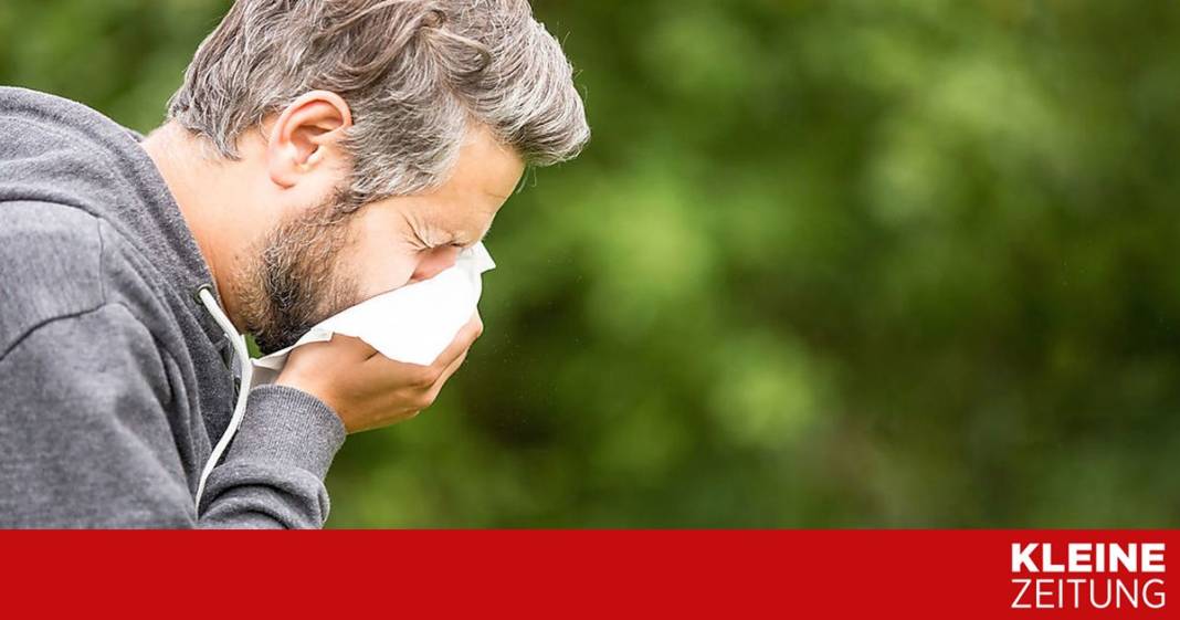 so-kommen-ihre-polypen-nach-der-op-nicht-wieder so-kommen-ihre-polypen-nach-der-op-nicht-wieder