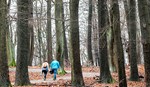 lainzer-tiergarten-bleibt-an-winterwochenenden-offen lainzer-tiergarten-bleibt-an-winterwochenenden-offen