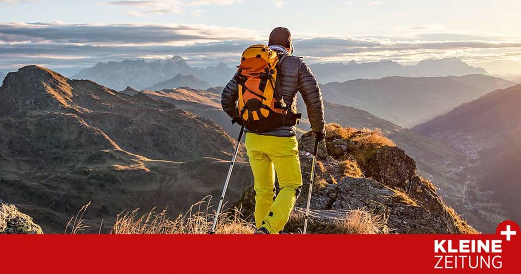 wie-bewegung-und-waldbaden-unsere-immunabwehr-staerken wie-bewegung-und-waldbaden-unsere-immunabwehr-staerken