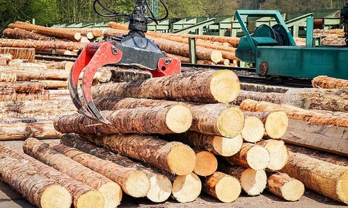 ein-neuer-obmann-fuer-die-holzindustrie ein-neuer-obmann-fuer-die-holzindustrie