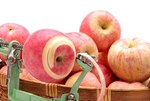 von-apfelkaese-bis-clubapfel:-wissenswertes-ueber-den-apfel von-apfelkaese-bis-clubapfel:-wissenswertes-ueber-den-apfel