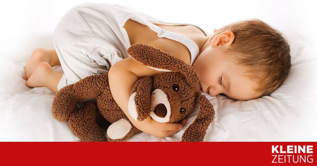 plueschtiertest:-kaum-schadstoffe,-aber-sicherheitsmaengel plueschtiertest:-kaum-schadstoffe,-aber-sicherheitsmaengel