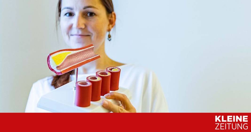 kranke-gefaesse:-die-wurzel-allen-uebels kranke-gefaesse:-die-wurzel-allen-uebels