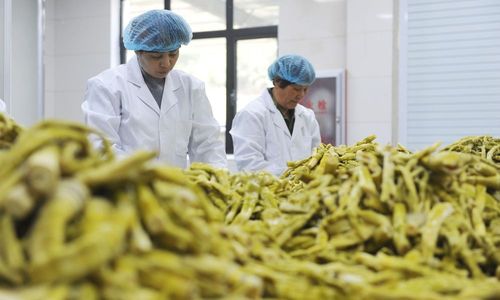 auf-wachstumskurs:-chinas-wirtschaft-erholt-sich-weiter-sehr-schnell auf-wachstumskurs:-chinas-wirtschaft-erholt-sich-weiter-sehr-schnell