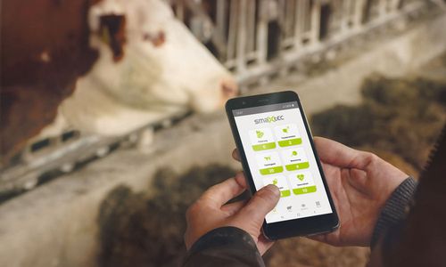 grazer-“kuhversteher”:-mit-drei-millionen-euro-zu-einer-million-kuehen grazer-“kuhversteher”:-mit-drei-millionen-euro-zu-einer-million-kuehen
