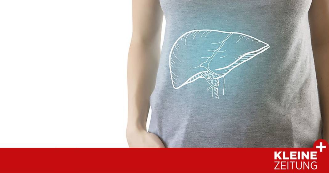 so-uebersteht-unsere-leber-die-feiertagsvoellerei so-uebersteht-unsere-leber-die-feiertagsvoellerei