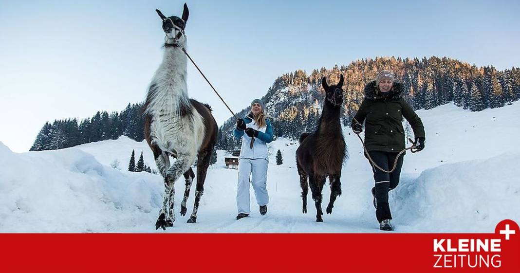 wo-einem-die-spucke-wegbleibt