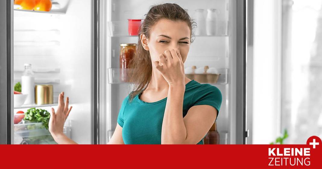 wie-lange-lebensmittel-wirklich-haltbar-sind