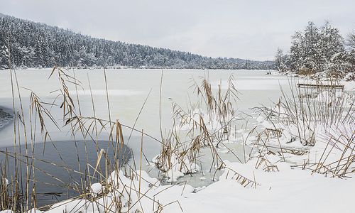 land-bietet-hafnersee-als-standort-fuer-mentalklinik-an land-bietet-hafnersee-als-standort-fuer-mentalklinik-an