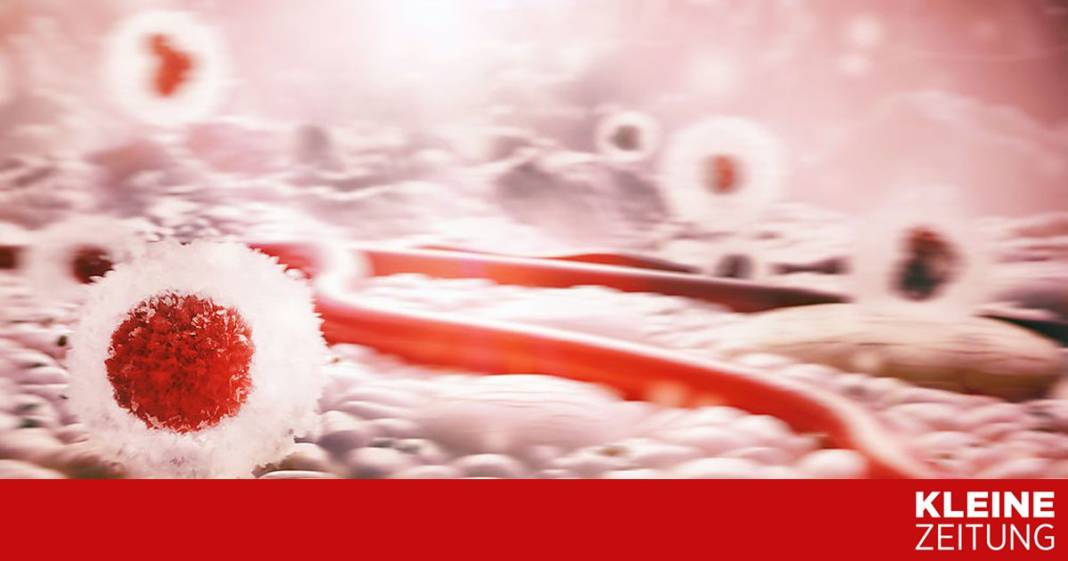 cholesterinsenker-verhindern-herzschaeden-bei-chemotherapie cholesterinsenker-verhindern-herzschaeden-bei-chemotherapie